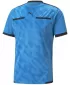 Labdarúgó mez PUMA TEAMLIGA REFEREE JERSEY 705452_18 BLEU AZUR/ BLEU AZUR/PUMA FEKETE