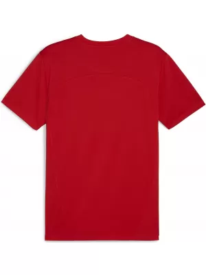 Férfi funkcionális ing PUMA TEAMFINAL TRAINING JERSEY 658557_01 PUMA PIROS/PUMA EZÜST