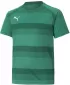 Gyerek póló PUMA TEAMVISION JERSEY JR 704928_05 PEPPERGREEN/POWERGREEN/WHITE