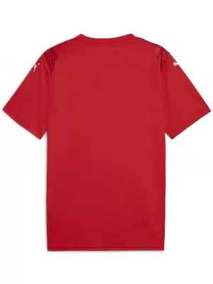 Férfi mez PUMA TEAMULTIMATE JERSEY 706280_01 PUMA PIROS/PUMA FEHÉR
