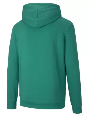 Férfi pulóver PUMA TEAMGOAL 23 CAUSALS HOODY 656580_05 BORSZÖLD