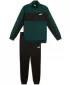 Férfi készlet PUMA POLY COLORBLOCK SUIT 687304-75 ZÖLD