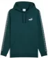 Férfi pulóver PUMA ESS TAPE HOODIE FL 684675-75 ZÖLD