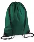 | BG 10 BOTTLE GREEN BagBase